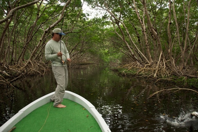 Pesca en la Peninsula de Yucatan